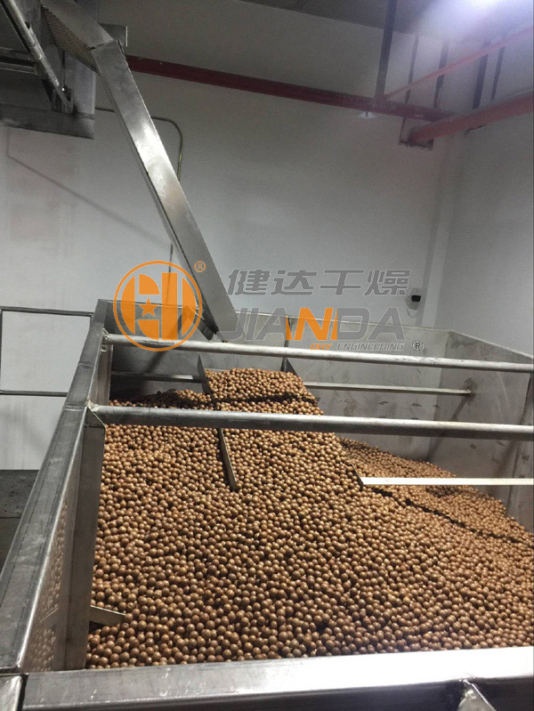 澳洲堅(jiān)果干燥生產(chǎn)線-上料